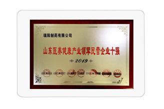 山東醫養健康產業領軍民營企業十強
